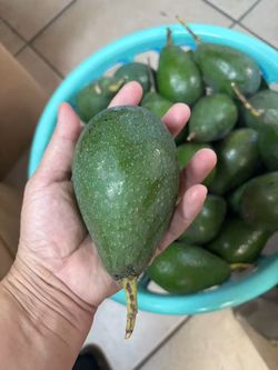 Organic avocado