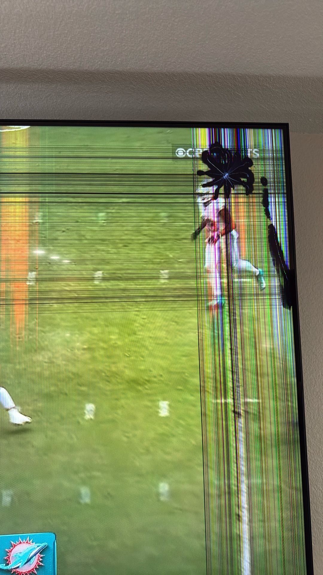 85 Inch LG