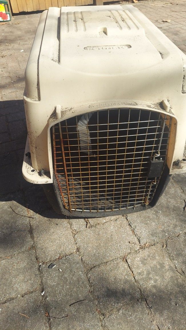 Dog Kennel