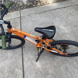 Diamondback Cobra 20 Kids Mountain Bike 