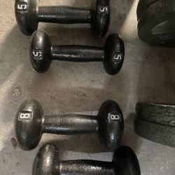 Weights 5lbs and 8lbs