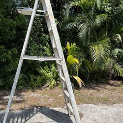 8 Feet Ladder