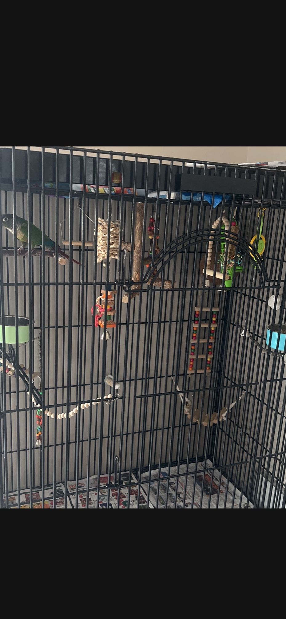 Conure Bird Cage 