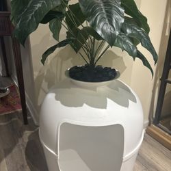 Secret Litter Box