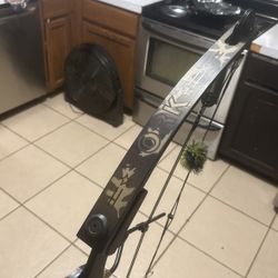 Compound Bow