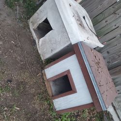 Dog House