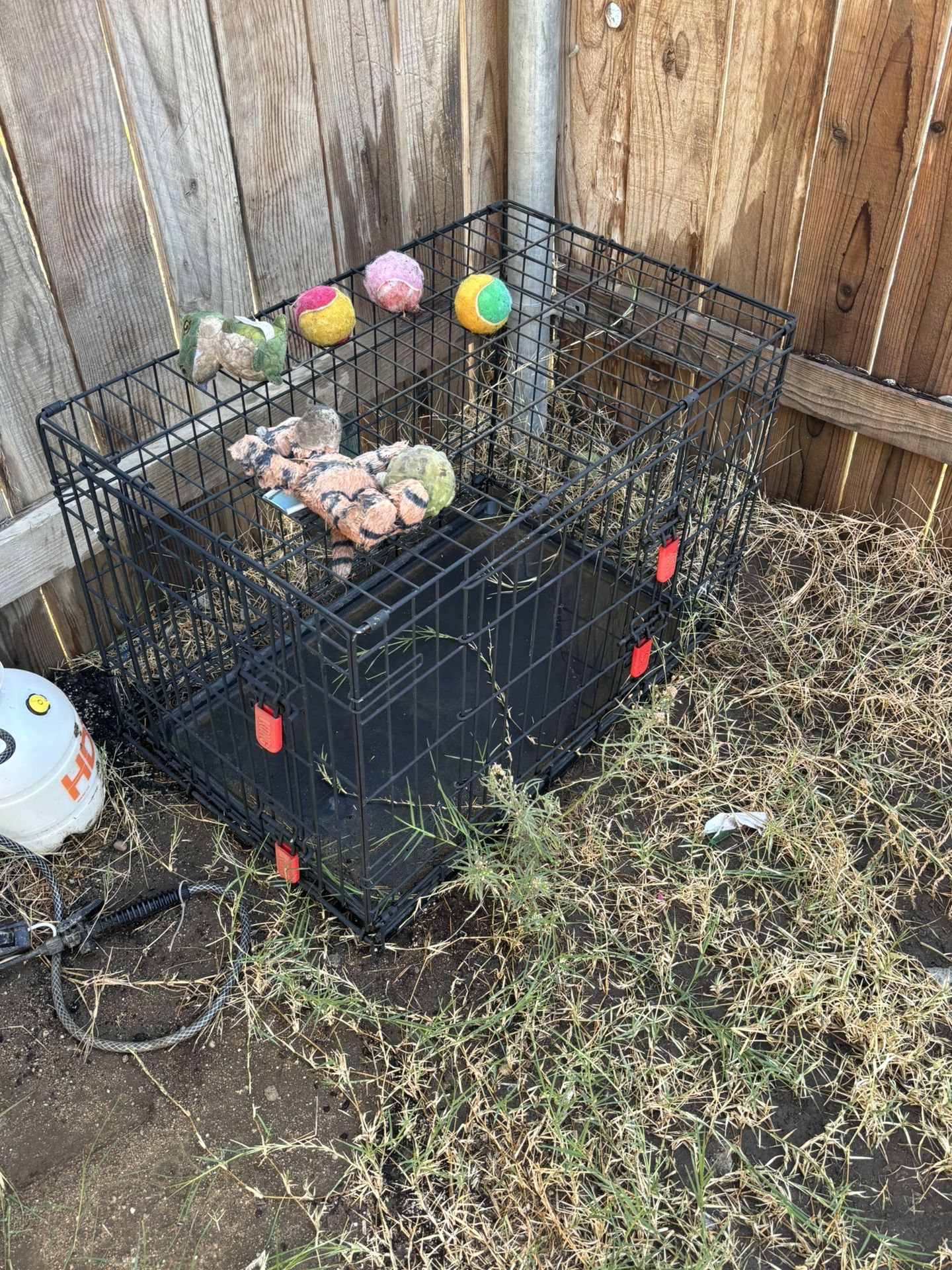 Kong Dog Crate