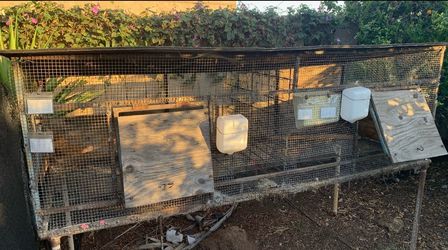2-Section Rabbit Hutch