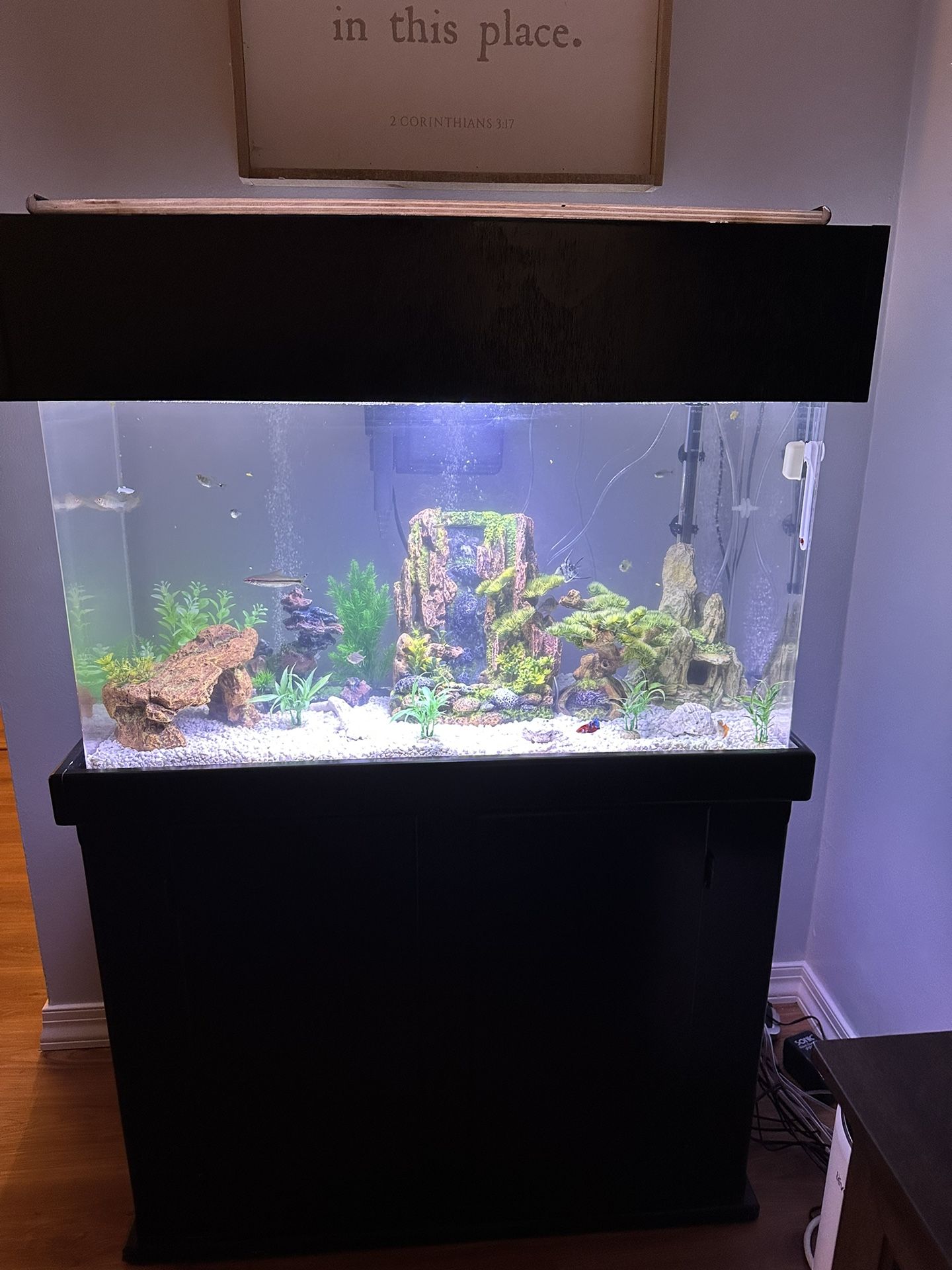 60 Gallon Acrylic Aquarium