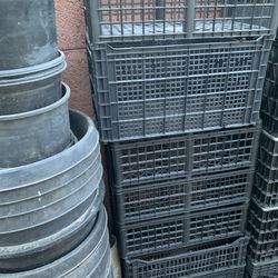 Black plastic Planter Buckets and Black Milk Crates useful tool