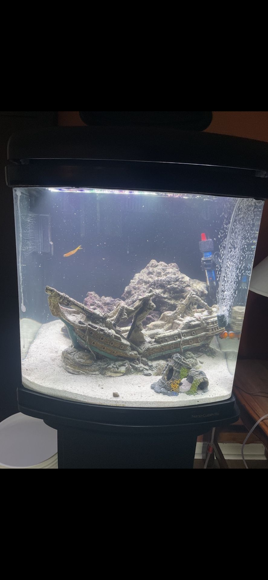 Cube Style Fish Tank Salt Water