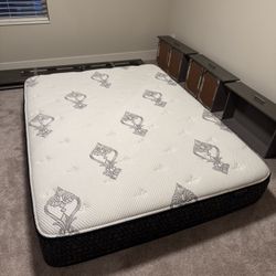 Bonita Springs Plush Queen Mattress