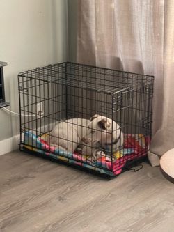 Dog crate