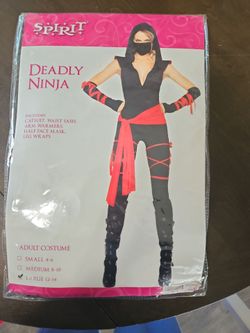 Deadly Ninja costume
