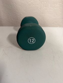 12 pound dumbbell