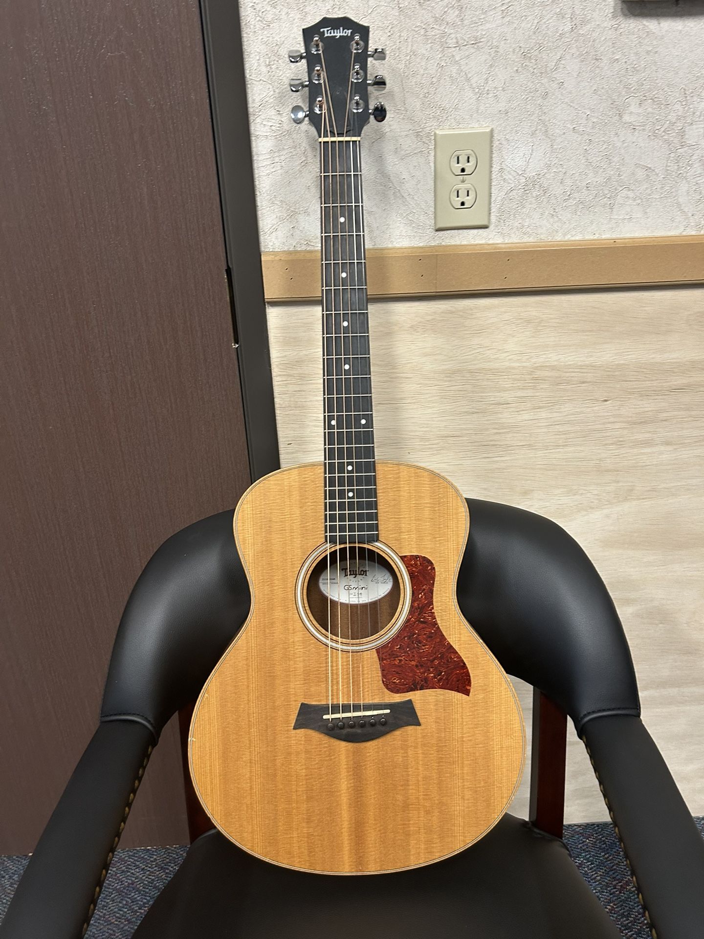 Taylor GS Mini