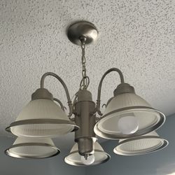 Hampton Bay 5-light brushed nickel chandelier featuring frosted, ribbed glass shades