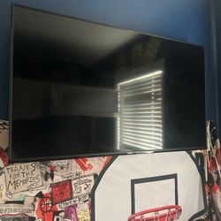 42"vizio tv with wall mount
