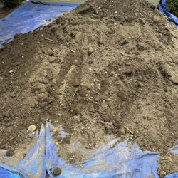 Free Dirt – Come Take What You Need