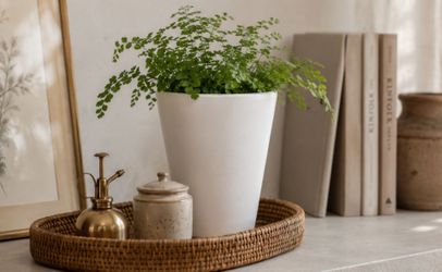Vintage 1960's White Ceramic potter piece, Planter Made in Germany Satin White Architectural Cylinder 6.5"