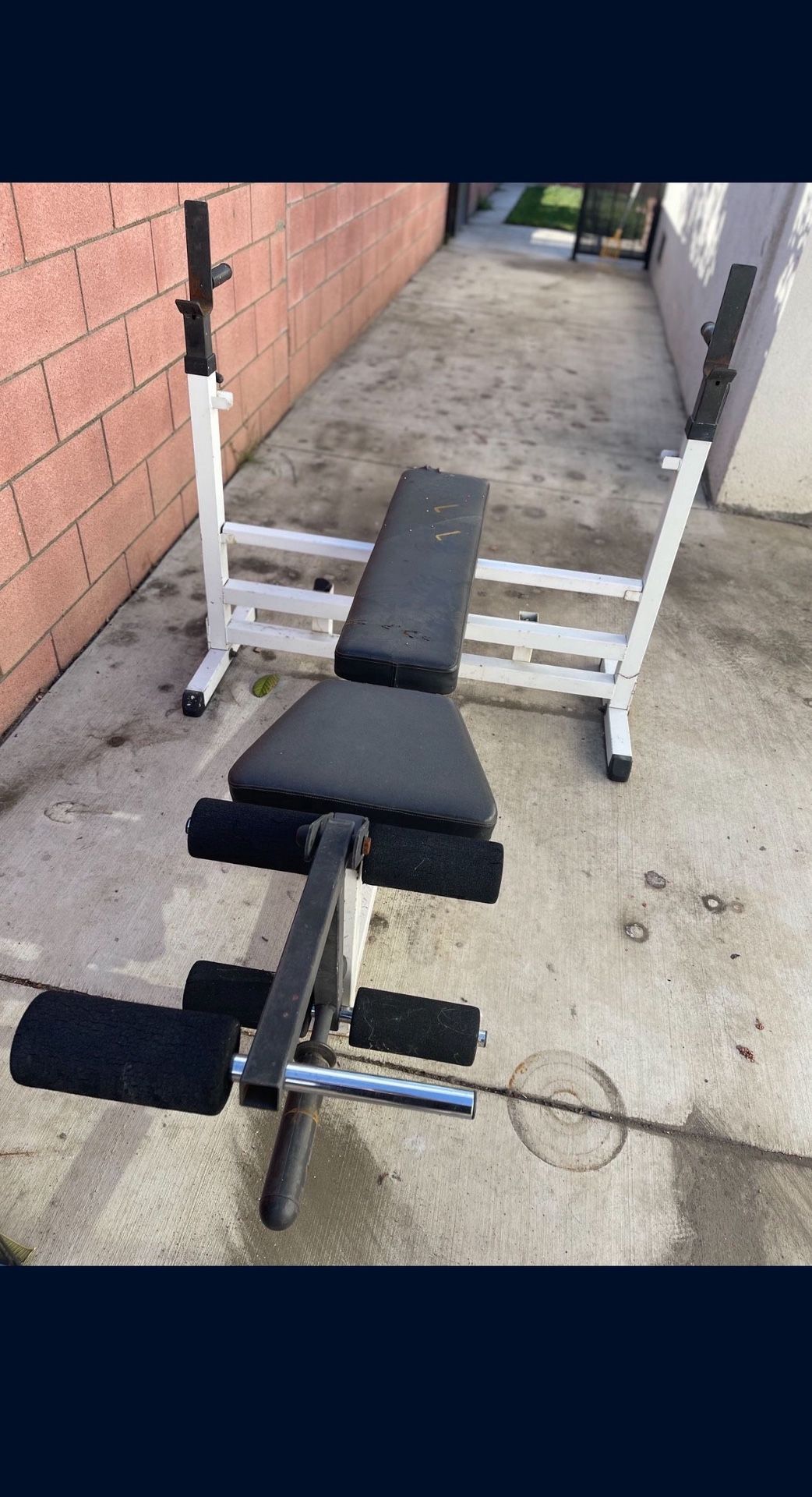 Olympic Weight Bench Press