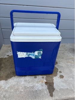 Lunch cooler