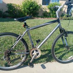 Nishiki Bike  Needs Brake Handles Repaired