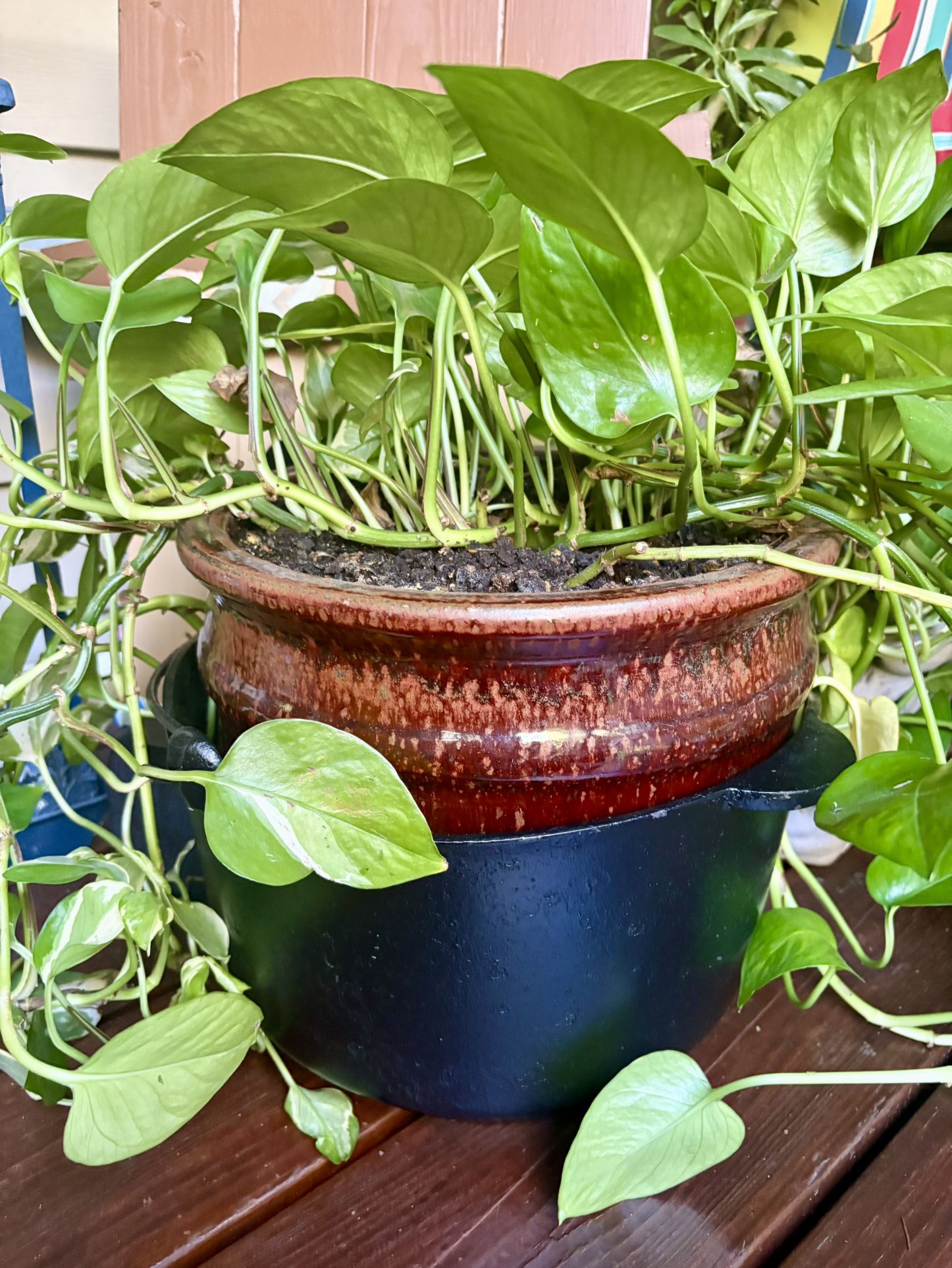 10qt (Heavy) Antique Cast Iron Pot