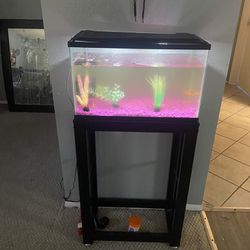 5 Gallon Fish Tank