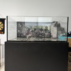 Elos 120XL Fish Tank