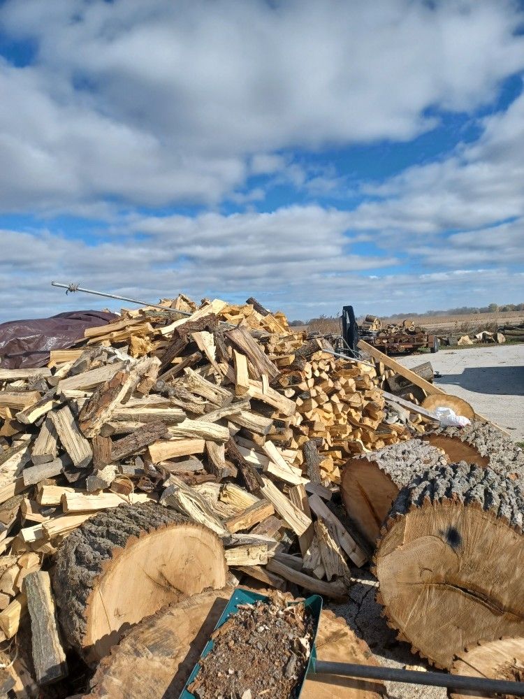 Firewood