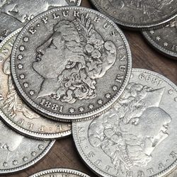 Morgan Silver Dollars