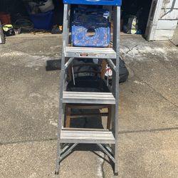 48inch Ladder