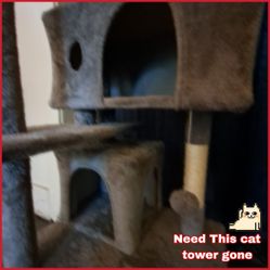 Cat Tree Condo Tower
