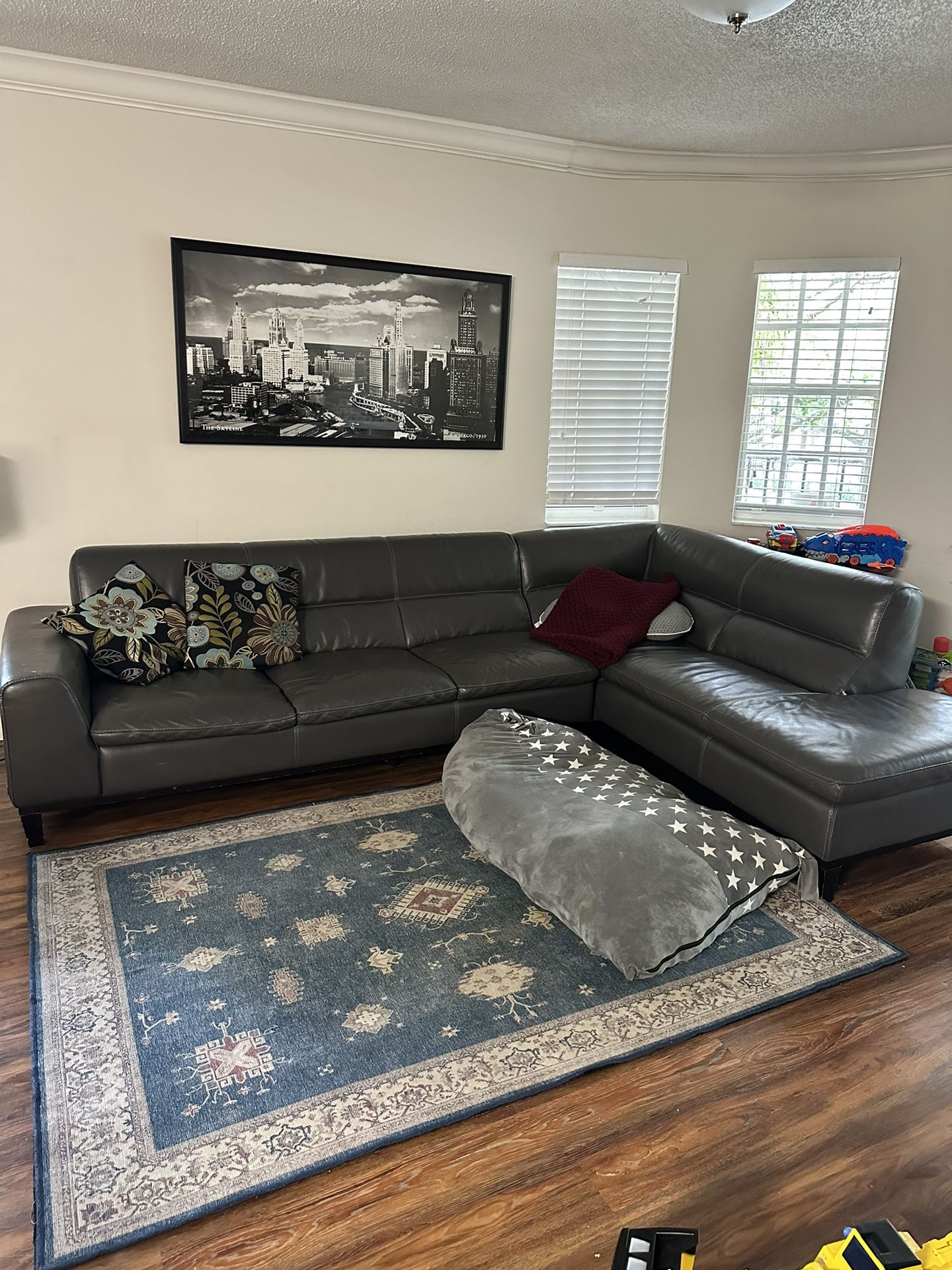 Sectional Leather Couch