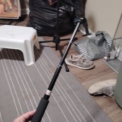 Selfie Stick