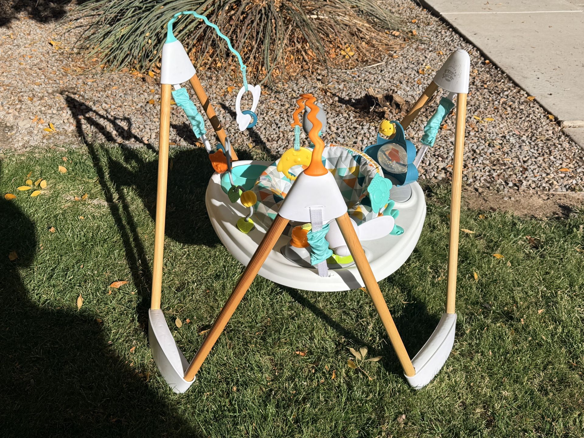 Toddler Bouncer And Swivel Toy