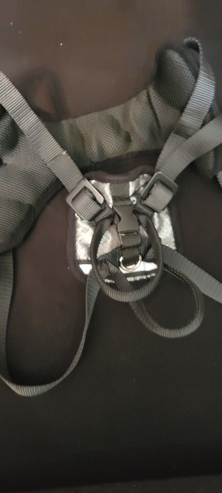Dog Seat Belt Harness