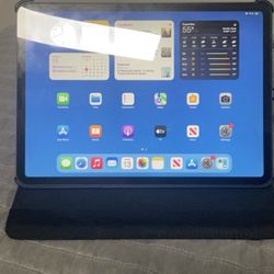 iPad Pro  11” 2nd Generation 128GB Wi-Fi Only (The Charging Port Is Lose, It Is On And Off)