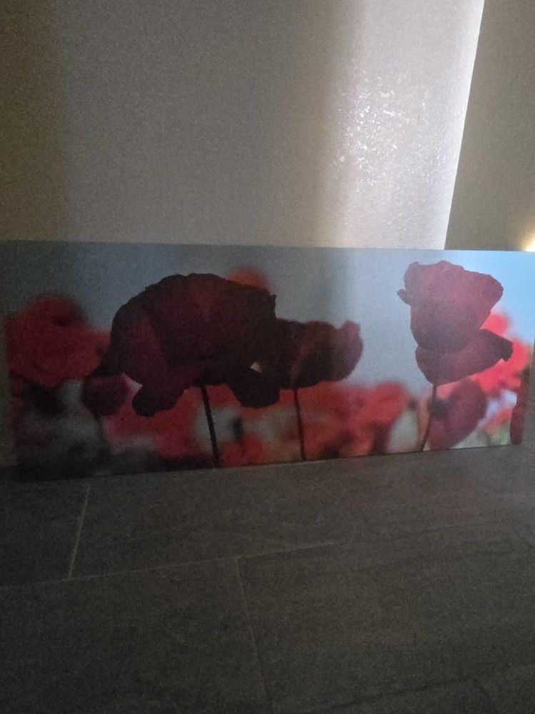 Lage 4ft Long Flower Canvas New