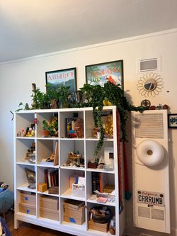 Ikea Kallax 4 x 4 with stand.