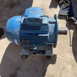 Weg Motor