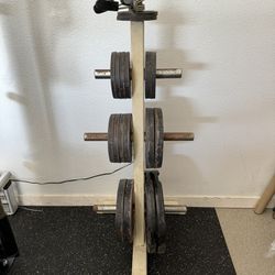 Olympic Weight Plates and Storage - 245lbs