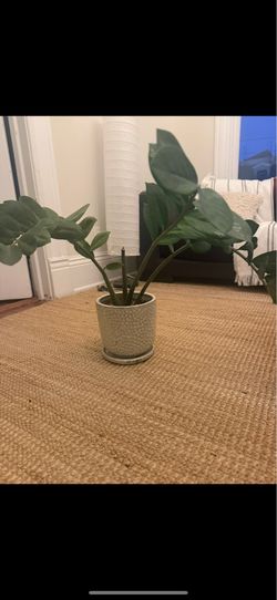 IKEA jute rug