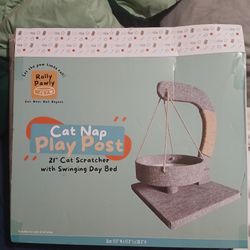 Cat Play Post