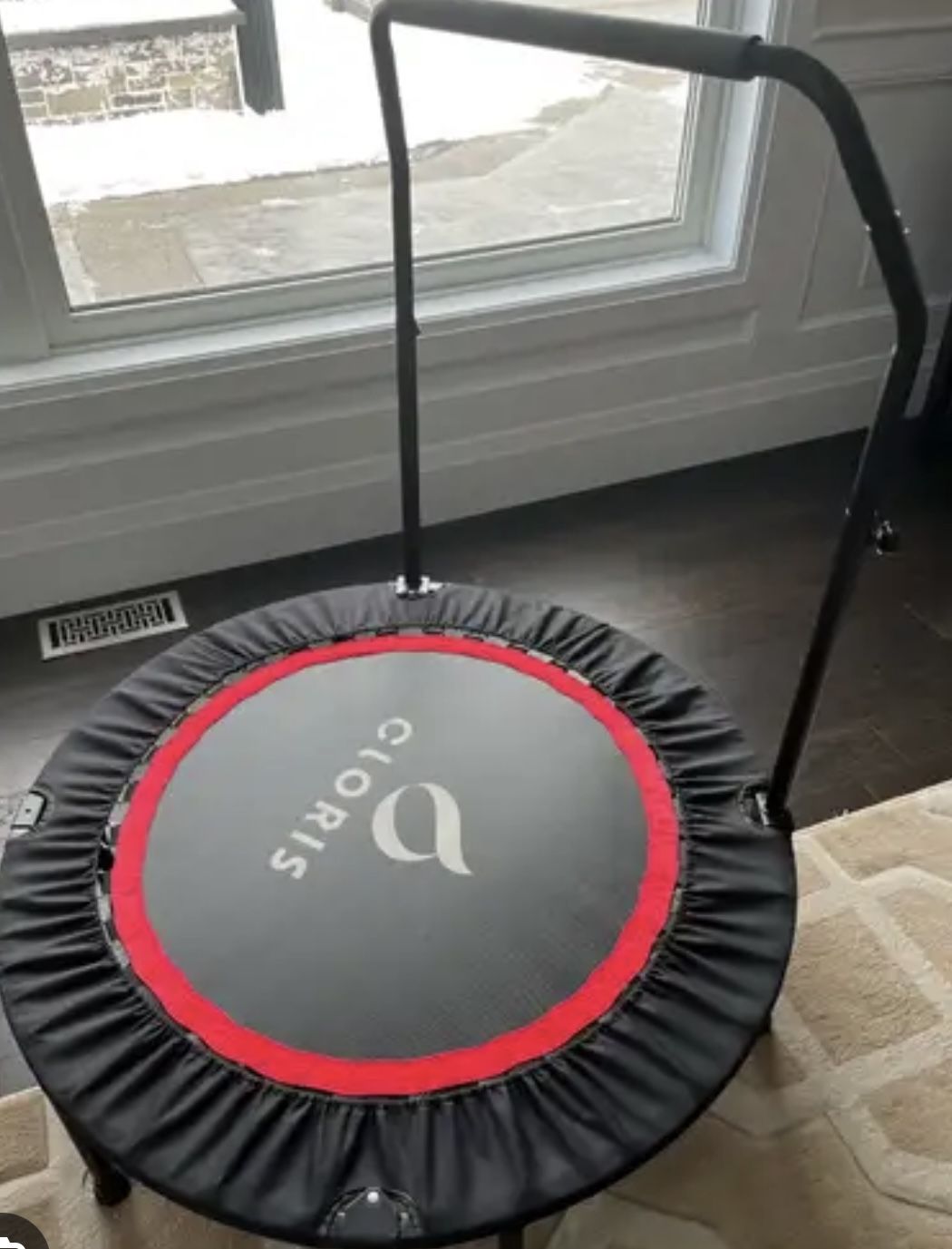 Clovis Exercise Trampoline With Support Bar
