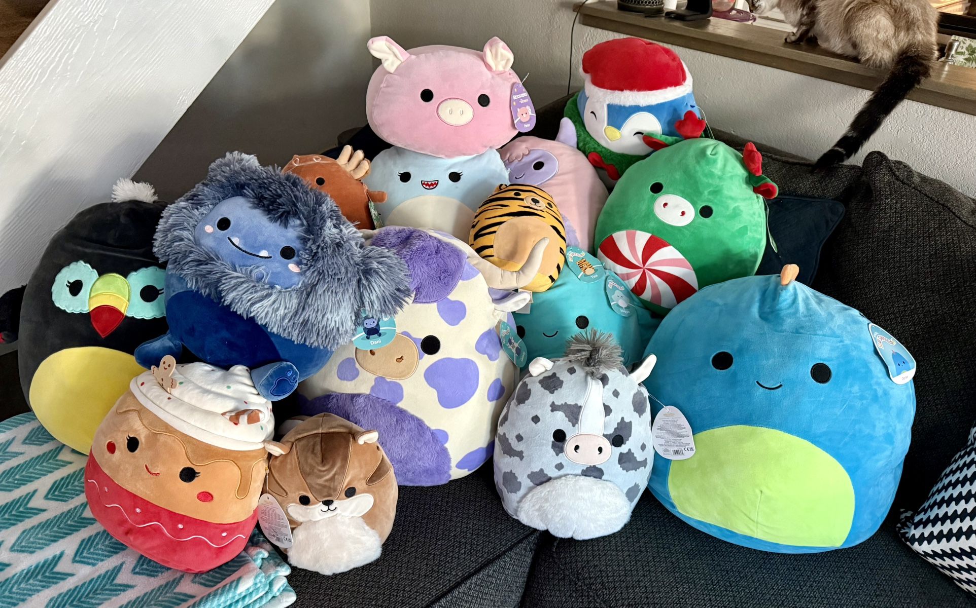 Lot Of 15 Squishmallows With Tags