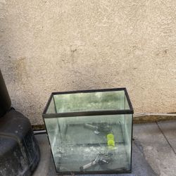 35 -40 Gallon Fish Tank 