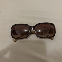 Women’s Coach Sunglasses 
