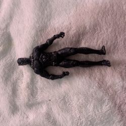 The Black Panther